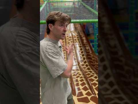 TELEFOON VERGETEN (monkey town) thumbnail