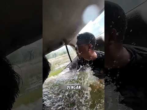 🚗🌊 Jangan Buka Pintu Saat Mobil Tenggelam… Lakukan Ini untuk Selamat! 😱🔨 #shortsviral thumbnail