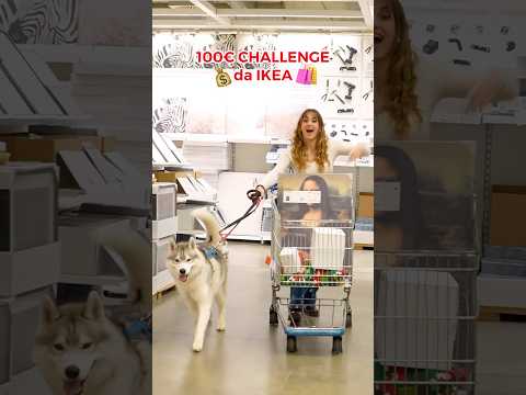 COMPRO 100€ CHALLENGE da IKEA 💰😱🛍️ #challenge #sfida #dog #cane #shopping thumbnail