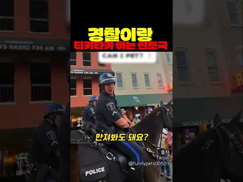 경찰이랑 티키타카하는 천조국 ㅋㅋㅋ thumbnail