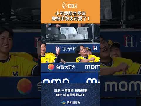 #CPBL 小可愛安打上壘 配合隊友的慶祝手勢太可愛了 ! #中信兄弟 #富邦悍將 #中華職棒 #shorts thumbnail