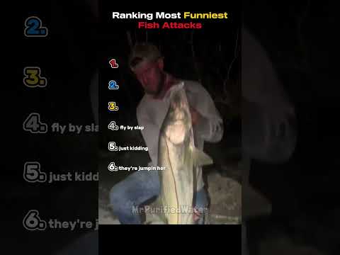 Ranking Funniest Fish Attacks Moments thumbnail