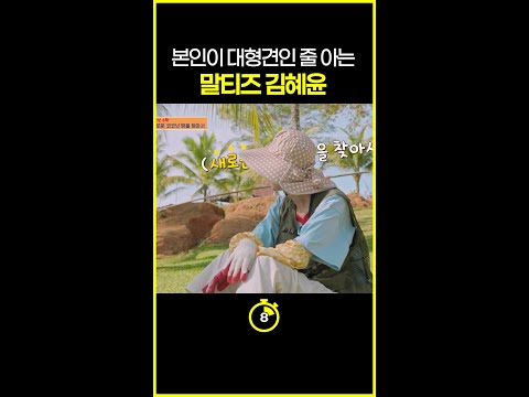 [#십초컷] 키보다 큰 장대 옮기는 김혜윤 #언니네산지직송in칼라페 thumbnail