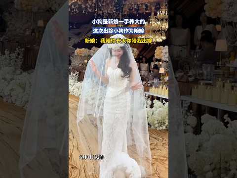 🇨🇳 从成长到出嫁，有一种陪伴从未缺席 🇬🇧 From growing up to marriage, one companion was never absent thumbnail