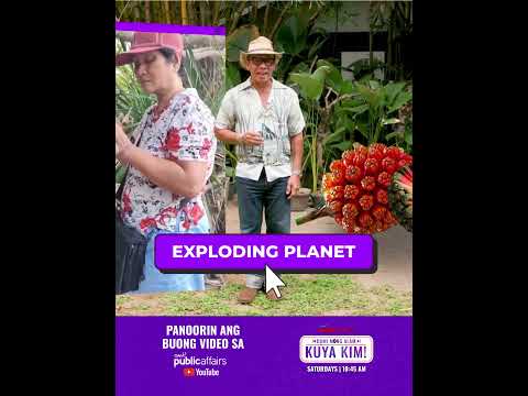 Ano ang hala fruit? | Dami Mong Alam, Kuya Kim! thumbnail