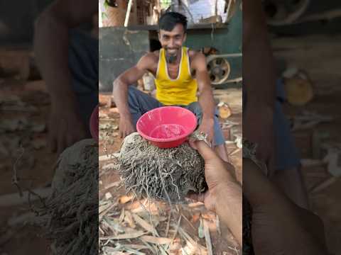 Eco-Friendly Bamboo Bowl Made from Ugly Bamboo Waste #shorts thumbnail