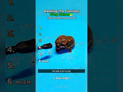 Ranking Frog Noises by How Ridiculous They Sound #shorts #animals #meme thumbnail