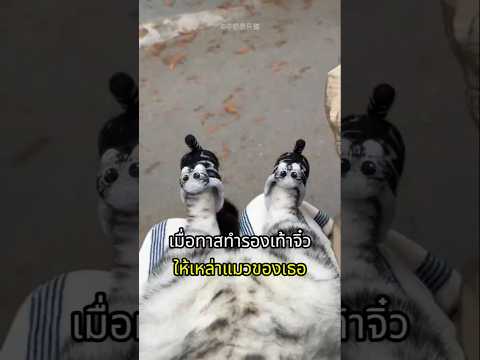 เธอทำรองเท้าแตะจิ๋วจากขนแมว thumbnail