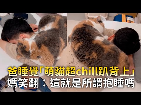 爸睡覺「萌貓超chill趴背上」　媽笑翻：這就是所謂抱睡嗎｜#寵物雲 thumbnail