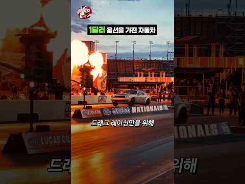 자동차 옵션이 1달러? thumbnail