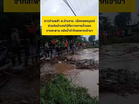 น้ำป่าไหลหลากพัดเศษไม้มาด้วย 20/5/69 #น้ำป่า #เพชรบูรณ์ #shortvideo #shorts thumbnail