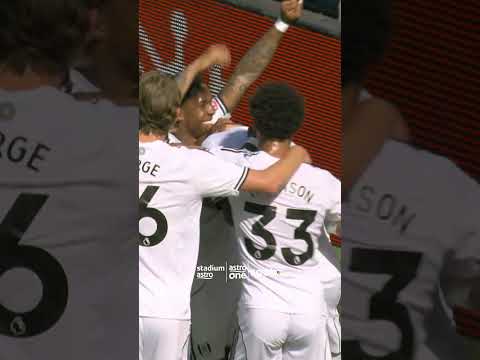 Issa Diop gives Fulham the lead vs Newcastle! thumbnail