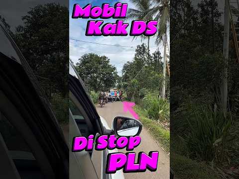 Mobil kak DS di Stop PLN #comedy #minivlog #anakdesa #pln #hewan thumbnail