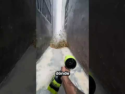 Este Chico Solo Quería Ayudar a Limpiar 😂🍁 thumbnail