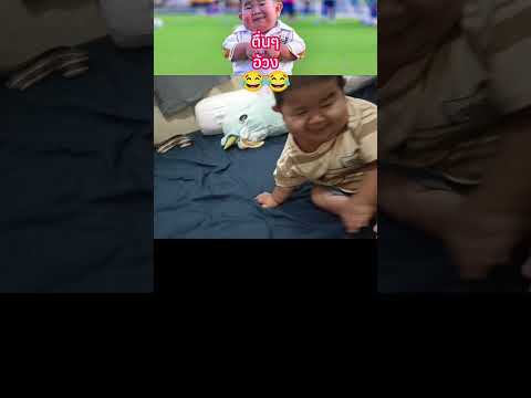 ตื่นๆอ้วง?? #พระเครื่อง #shorts thumbnail