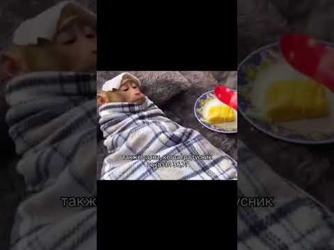 ПАРНИ У ВСЕХ ТАК? | TikTok: kate.kasatka thumbnail