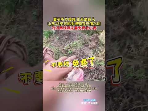 妻子聽力障礙，丈夫是盲人；山東18歲農機手得知農戶情況後，為河南殘障夫妻免費收小麥。 thumbnail