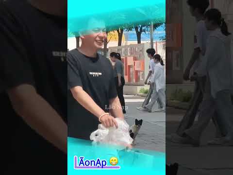 Ủa gì kì 😅 #laonap thumbnail