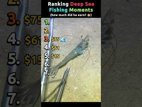 Ranking Deep Sea Fishing Moments Pt.6 | He earned ???$ 🤯 #offshore thumbnail
