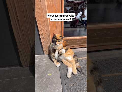 The worst customer service I have ever experienced. I will NEVER go back here! thumbnail