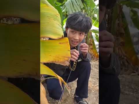 小风费尽心思去帮老爸，没想到最后老爸竟然这样对他#shorts #funny #搞笑 thumbnail