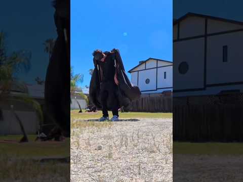 Real Batman Gliding Cape! thumbnail