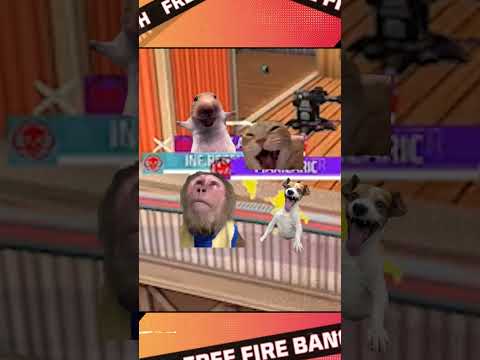 FFWS BD Spring 2026 লীগ স্টেজ উইক ৩ ডে ১ ফানি মুহূর্ত ? thumbnail