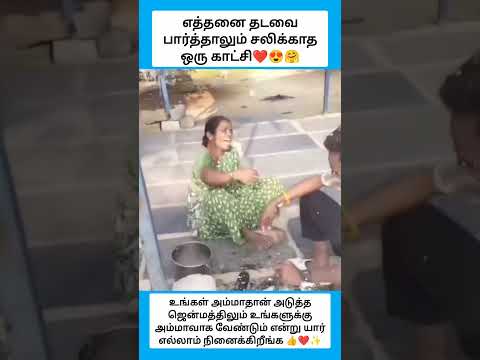 அவர்களுக்கு ஒரு வாழ்த்து சொல்லலாமே #shorts thumbnail