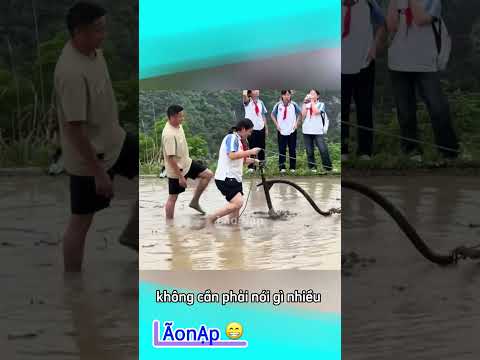 Cách giảm căng thẳng trước kỳ thi 😅 #laonap thumbnail