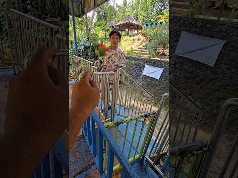 temon menghilang di tangga #trendingshorts thumbnail