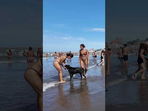 🇦🇷 Mar del Plata Beach A Fun Day thumbnail