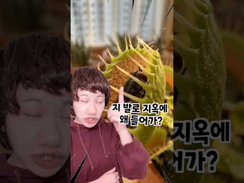 인간이 가장 멍청한 이유... ㅋㅋㅋ thumbnail