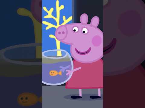 Fishy Friend for Goldie Song 🐟 #shorts #peppapig thumbnail