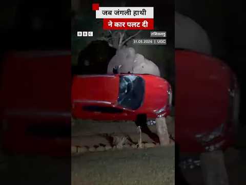 Tamil Nadu: गाड़ी से आम नहीं निकाल पाया हाथी तो पलट दी कार (BBC Hindi) thumbnail
