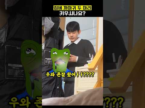 집에 까마귀 두마리 키우시나요?? thumbnail