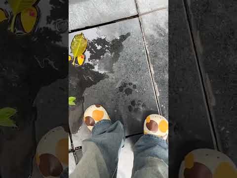 ▶️ Cute slippers for everyday comfort. Cute Cat Paw Comfy Warm Slippers ( # 3071 ) thumbnail