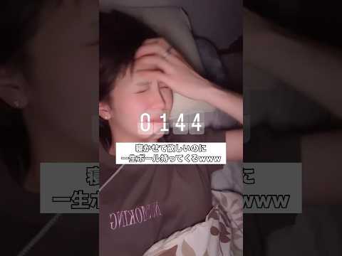 ゴールデンレトリバーと一緒にいると夜中までボール投げさせられます。電気を消しても暗闇から視線を感じます。 #ゴールデンレトリバー #大型犬 #ボール遊び #shorts thumbnail