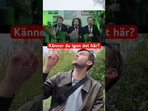 Känner ni igen videon?🫶🏻 beställ på Schmello.se NU🥳🙌🏻 (reklam för mitt spel) thumbnail