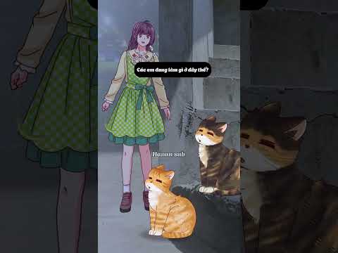 2 bé mèo dễ thưn quá đi! thumbnail