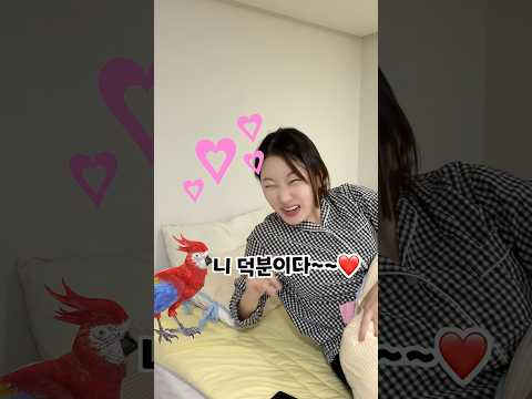 회사 빠지게 도와주는 앵무새 ㅋㅋㅋ thumbnail