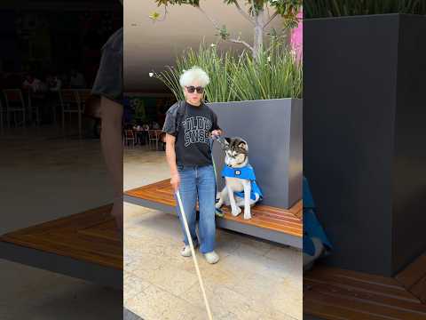 MI PERRO ? ES UN PERRO GUÍA ?? thumbnail