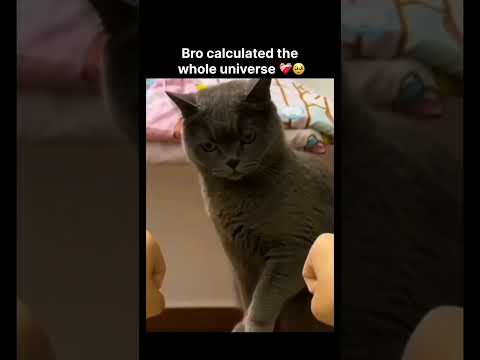 Bro calculated the whole universe ❤️‍?? thumbnail
