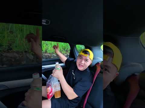 Vật Dụng Đựng Đồ Hữu ích Trên Ô Tô 🚘 #shorts thumbnail