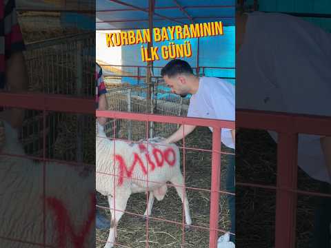 kurban bayramının ilk günü ￼ thumbnail