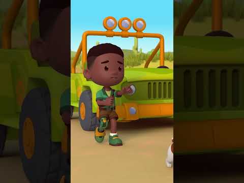 How Fast Can This Roadrunner RUN?! | Leo the Wildlife Ranger #shorts thumbnail