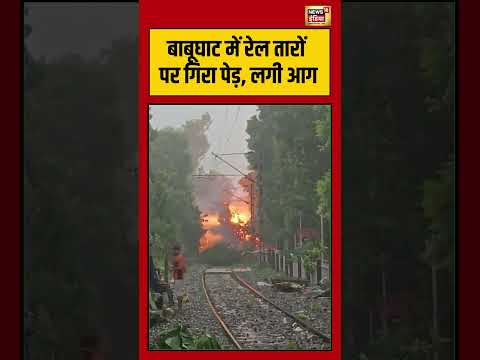 West Bengal Weather: बाबूघाट में रेल तारों पर गिरा पेड़, लगी आग | #shorts #viralvideo thumbnail