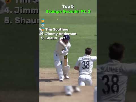 Top 5 Stumps Sounds! Pt. 2 thumbnail
