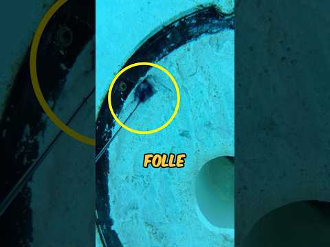 HA USATO UNA SIRINGA PER RIPARARE LA PISCINA IN UN MODO INIMMAGINABILE! ? #virale #divertente thumbnail