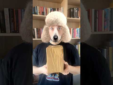 KUTTA BALL 🐶⚾ #shorts #youtubeshorts #cricket #unboxing #ball #funny #boxofvengeance thumbnail