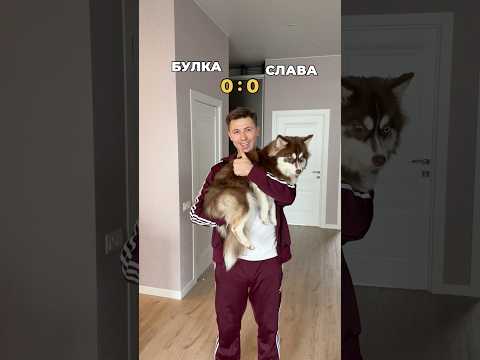 Какие ещё есть плюсы у Славы? thumbnail